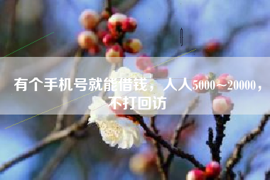 有个手机号就能借钱，人人5000~20000，不打回访