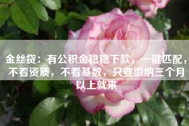 金丝贷：有公积金稳稳下款，一键匹配，不看资质，不看基数，只要缴纳三个月以上就来