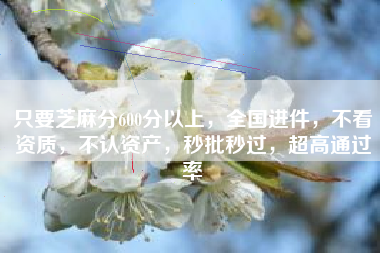 只要芝麻分600分以上，全国进件，不看资质，不认资产，秒批秒过，超高通过率