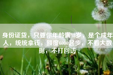 身份证贷，只要你年龄满18岁，是个成年人，统统拿钱，额度6000起步，不看大数据，不打回访