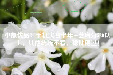 小象优品：手机实名半年+芝麻分580以上，其他统统不看，稳批稳过！