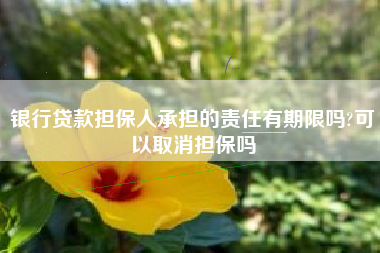 银行贷款担保人承担的责任有期限吗?可以取消担保吗