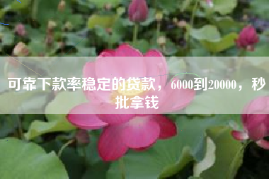 可靠下款率稳定的贷款，6000到20000，秒批拿钱