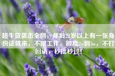 超牛贷袭击全网，年龄22岁以上有一张身份证就来，不限工作，额度2w到5w，不打回访，秒批秒过！