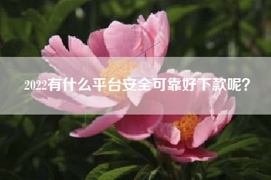 2022有什么平台安全可靠好下款呢？