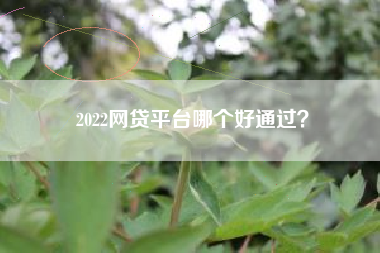 2022网贷平台哪个好通过？