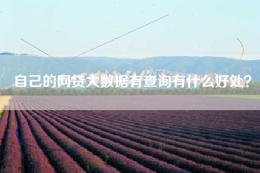 自己的网贷大数据有查询有什么好处？