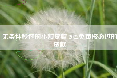 无条件秒过的小额贷款 2022免审核必过的贷款