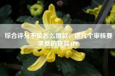综合评分不足怎么借款，这几个审核要求低的贷款APP