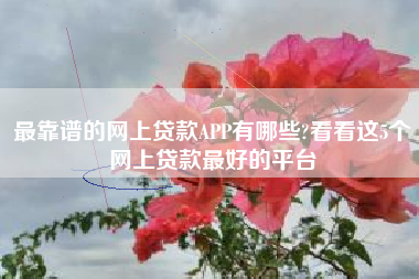 最靠谱的网上贷款APP有哪些?看看这5个网上贷款最好的平台