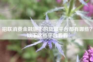 招联消费金融旗下的贷款平台都有哪些？以下这些平台看看