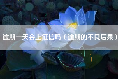 逾期一天会上征信吗（逾期的不良后果）