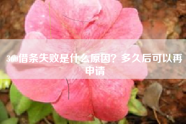 360借条失败是什么原因？多久后可以再申请