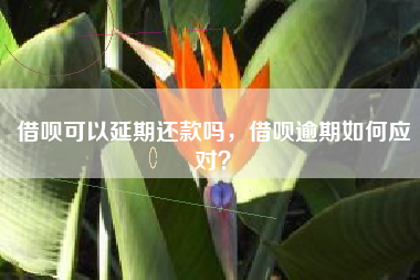 借呗可以延期还款吗，借呗逾期如何应对？
