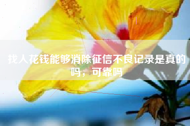 找人花钱能够消除征信不良记录是真的吗，可靠吗