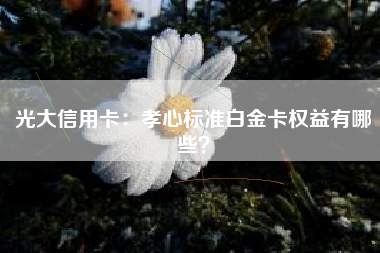 光大信用卡：孝心标准白金卡权益有哪些？