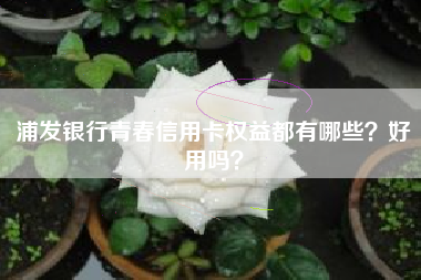 浦发银行青春信用卡权益都有哪些？好用吗？
