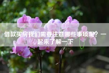 借款买房我们需要注意哪些事项呢？一起来了解一下