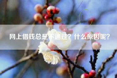 网上借钱总是不通过？什么原因呢？