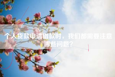个人贷款申请借款时，我们都需要注意哪些问题？