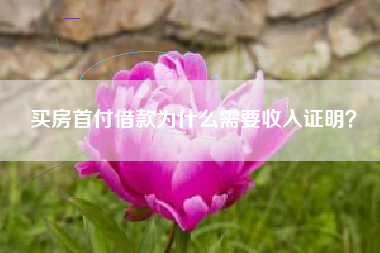 买房首付借款为什么需要收入证明？