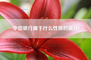 中信银行属于什么性质的银行?