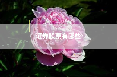 证券股票有哪些?