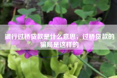 银行过桥贷款是什么意思，过桥贷款的骗局是这样的