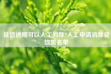 征信逾期可以人工消除?人工申请消除征信黑名单