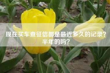 现在买车查征信都是最近多久的记录？半年的吗？