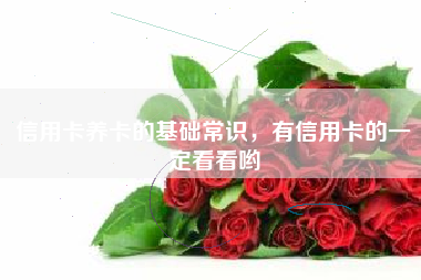 信用卡养卡的基础常识，有信用卡的一定看看哟