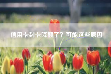 信用卡封卡降额了？可能这些原因
