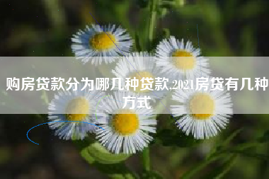 购房贷款分为哪几种贷款,2021房贷有几种方式