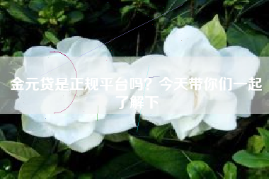 金元贷是正规平台吗？今天带你们一起了解下