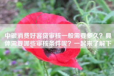 中银消费好客贷审核一般需要多久？具体需要哪些审核条件呢？一起来了解下
