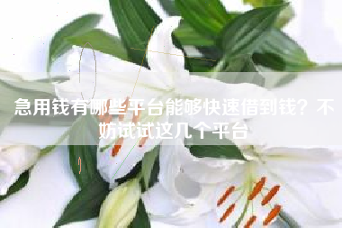 急用钱有哪些平台能够快速借到钱？不妨试试这几个平台