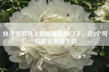 快速借款马上到账微信的口子，这5个可以绑定微信下款