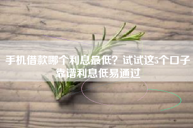 手机借款哪个利息最低？试试这5个口子靠谱利息低易通过