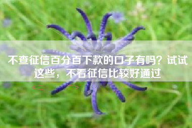 不查征信百分百下款的口子有吗？试试这些，不看征信比较好通过