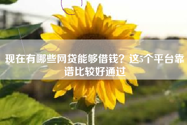现在有哪些网贷能够借钱？这5个平台靠谱比较好通过