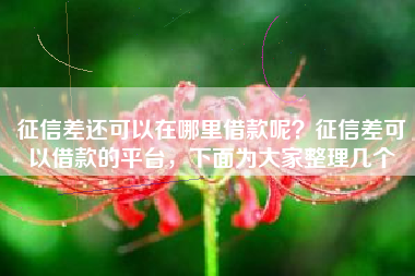 征信差还可以在哪里借款呢？征信差可以借款的平台，下面为大家整理几个