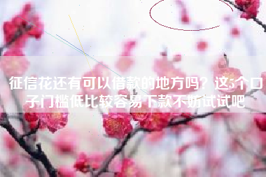 征信花还有可以借款的地方吗？这5个口子门槛低比较容易下款不妨试试吧
