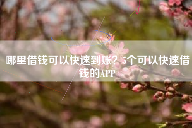 哪里借钱可以快速到账？5个可以快速借钱的APP