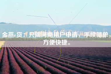 金燕e贷：只限河南用户申请，手续简单，方便快捷。