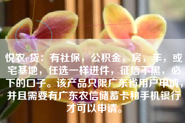 悦农e贷：有社保，公积金，房，车，或宅基地，任选一样进件，征信不黑，必下的口子。该产品只限广东省用户申请，并且需要有广东农信储蓄卡和手机银行才可以申请。