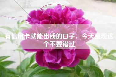 有信用卡就能出钱的口子，今天整理这个不要错过