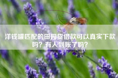 洋钱罐匹配的田园贷借款可以真实下款吗？有人到账了吗？