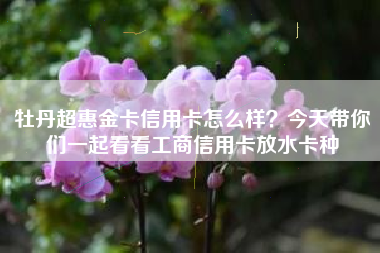 牡丹超惠金卡信用卡怎么样？今天带你们一起看看工商信用卡放水卡种