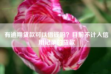 有逾期贷款可以借钱吗？目前不计入信用记录的贷款