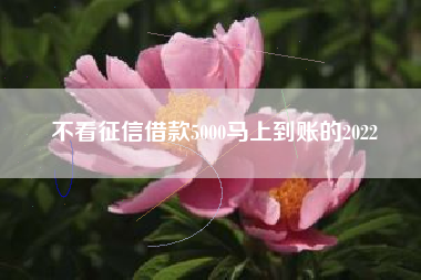 不看征信借款5000马上到账的2022